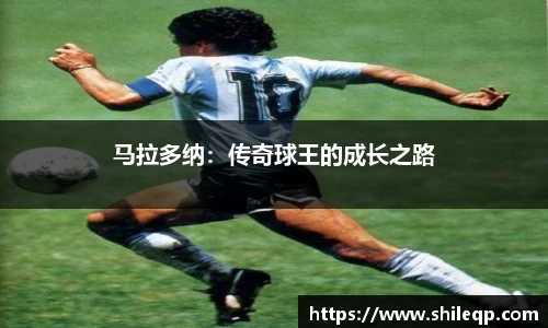 中欧体育app